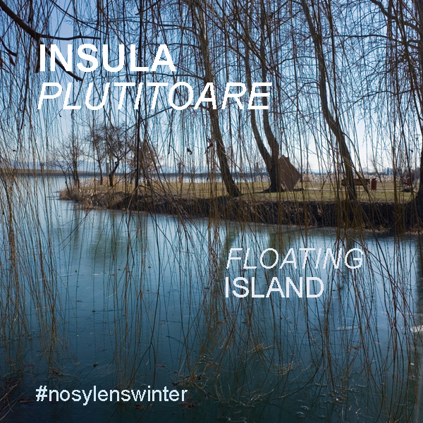 550 :: #NosyLensWinter
